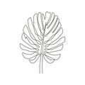 Monstera leaf drawn with one continuous line. Tropical palm leaf of monstera, one line drawing. Vector